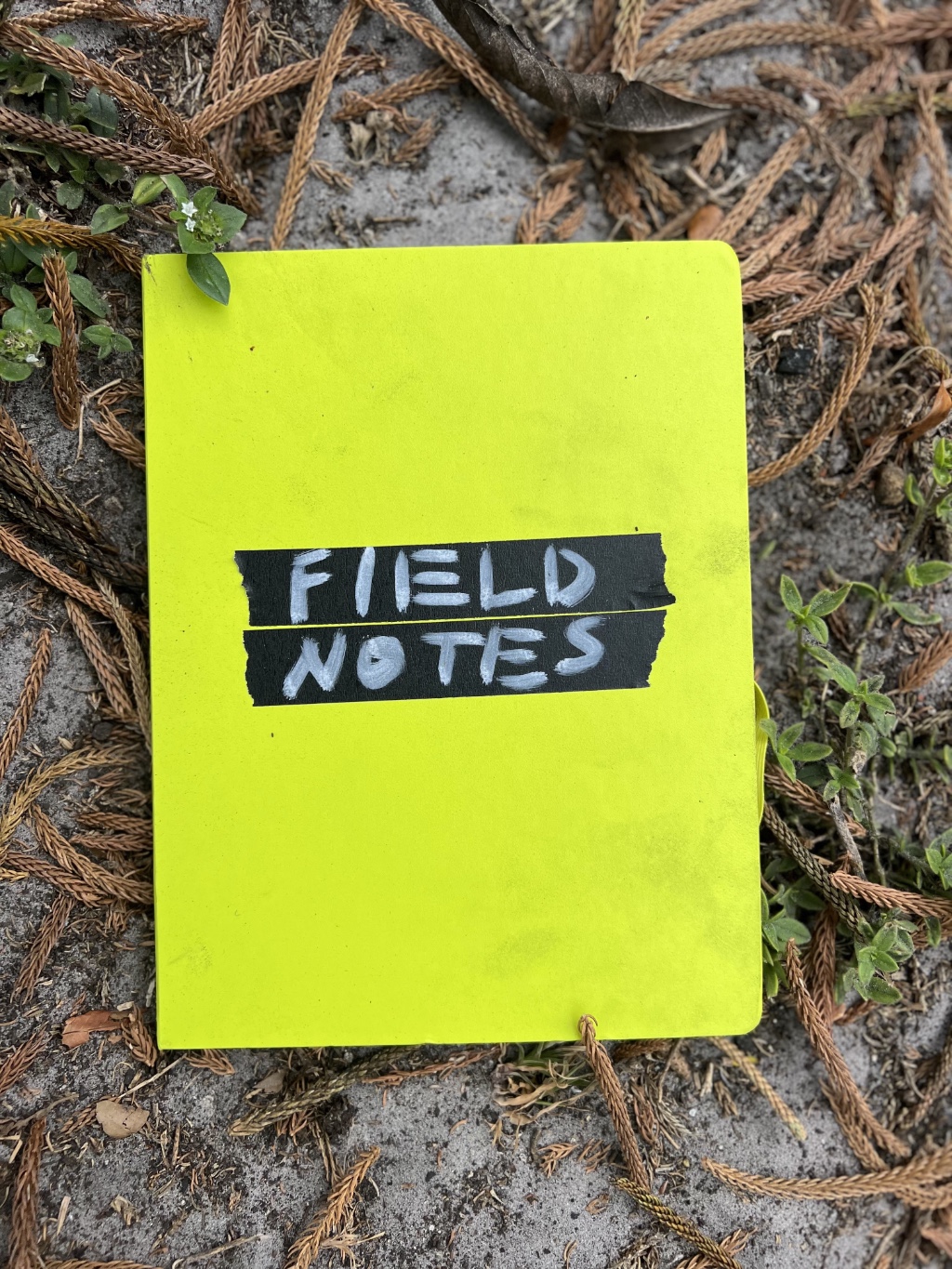 Neon green field notebook lying on dried plant material