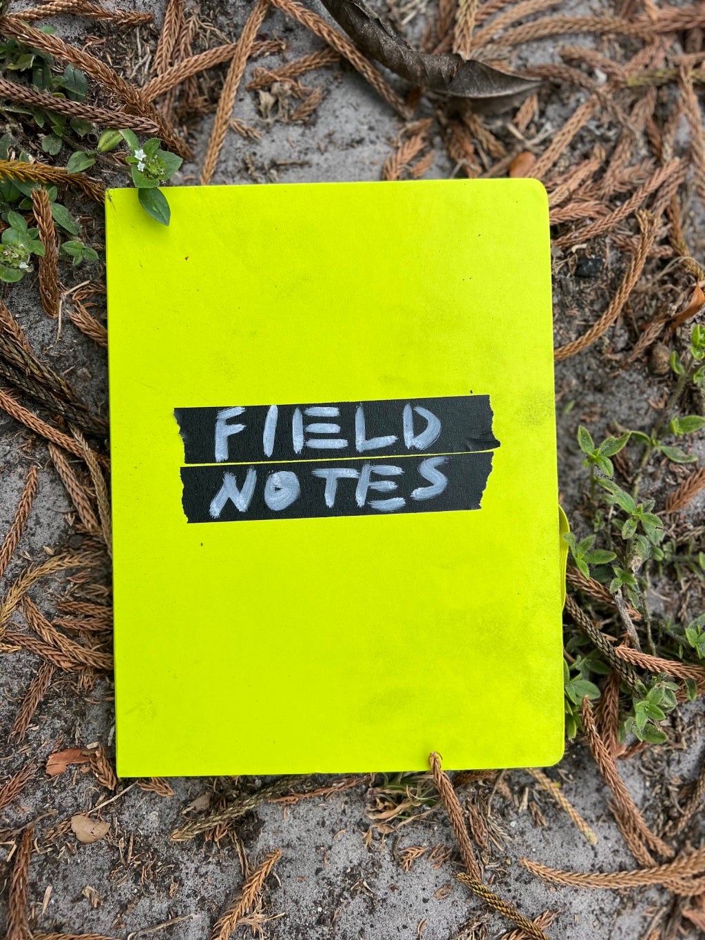 Neon green field notebook lying on dried plant material