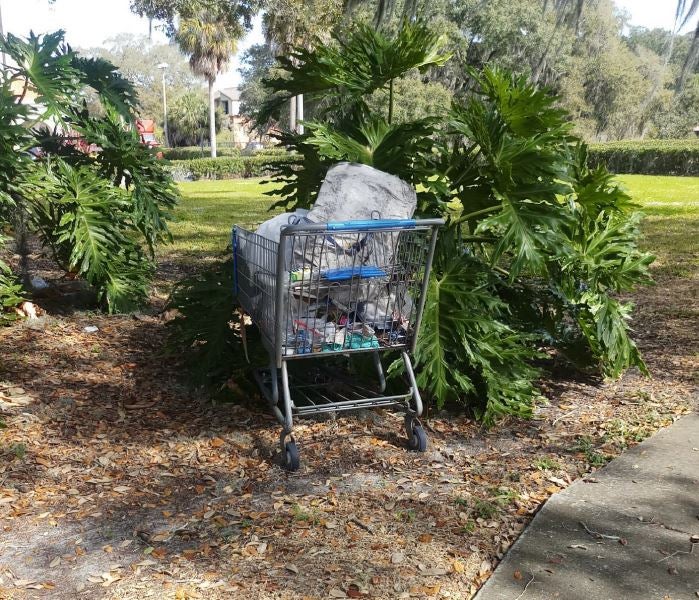 Grocery cart in bushes