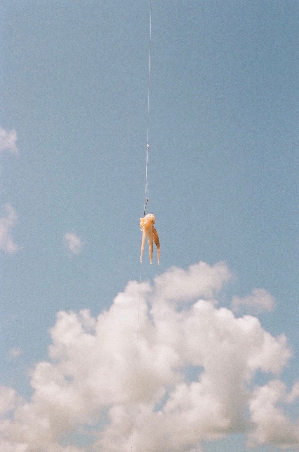 A fishing line with clouds and sky in the background