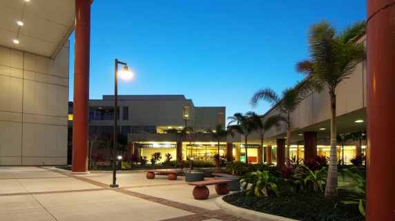 evening shot of the Dale Mabry's campus courtyard