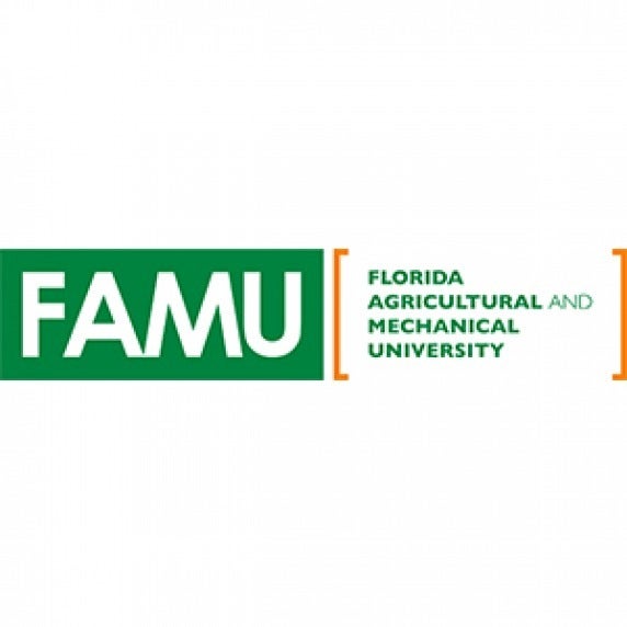 Florida A&M University Logo