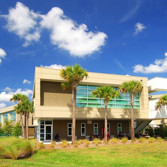 SouthShore Building with palm trees