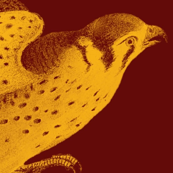 Illustration of a yellow bird with speckled feathers on a maroon background.