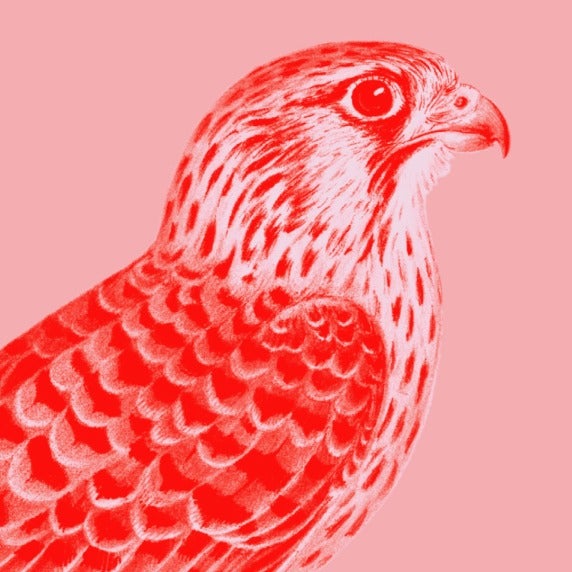 A stylized red and white drawing of a bird against a pink background.