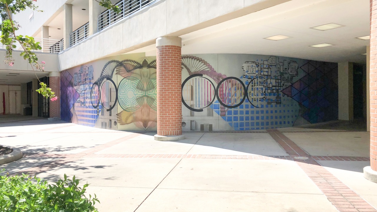 Wide angle image of geometric patterns in mural