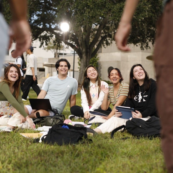 Group of students sitting in the grass and smiling. 